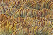 sand dune 